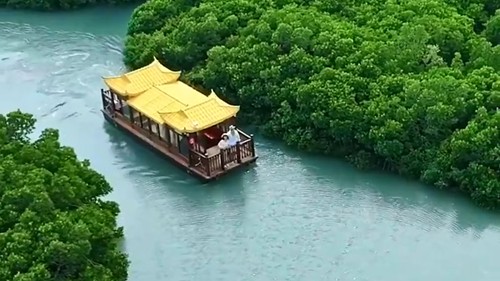 执绿色画笔 绘美丽中国