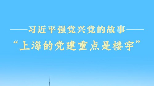 习近平强党兴党的故事
