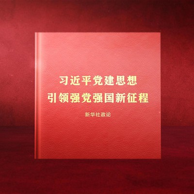 习近平党建思想引领强党强国新征程