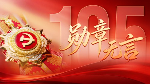 大党丨勋章无言