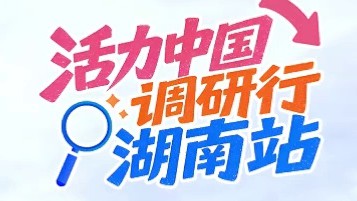 改革创新“活” 低空经济“火”