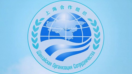 新华时评｜二十五载同行，中国贡献助力上合行稳致远