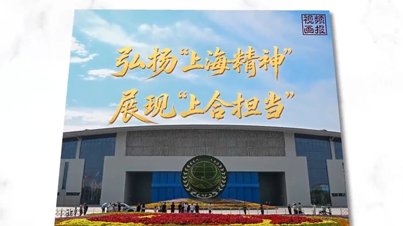 视频画报｜弘扬“上海精神” 展现“上合担当”