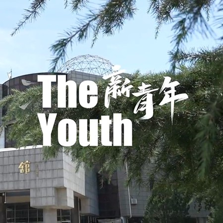 新青年 | 上合同行人