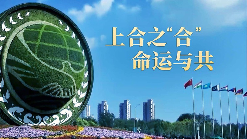 大道行丨上合之“合” 命运与共