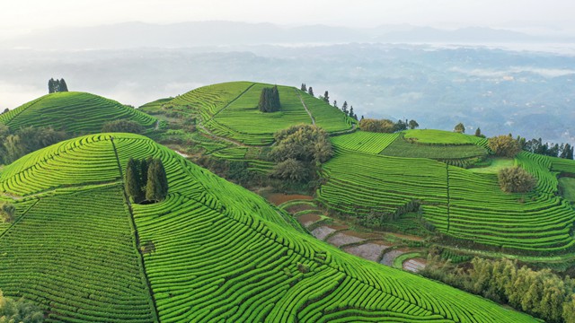 《全国地质灾害防治