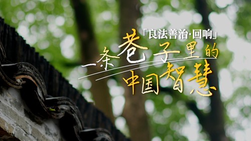 一条巷子里的中国智慧
