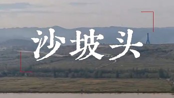 巧织绿意“妆”大漠