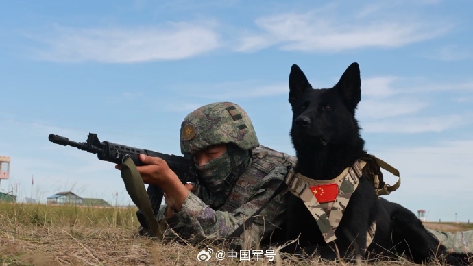中俄蒙举行“边防合作2025”联合演练