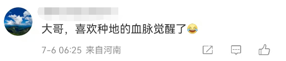 “静待秋收，我来掰棒子”！70岁任达华在山东老家种玉米，上个月刚收了小麦插图7