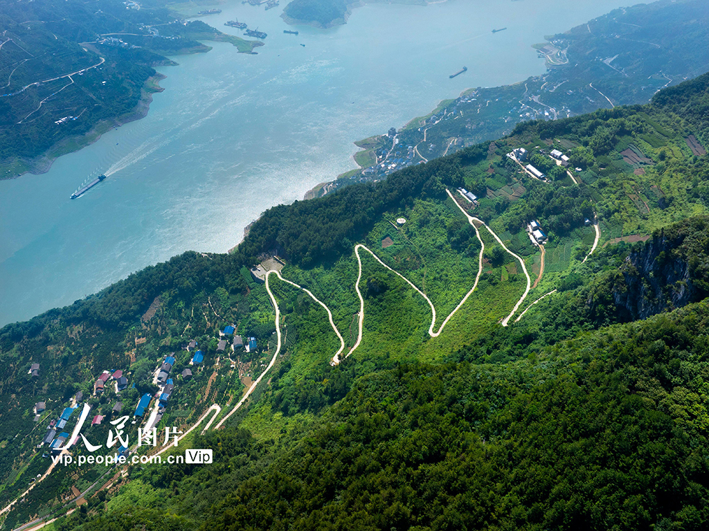 湖北秭归：路畅景美产业兴插图2