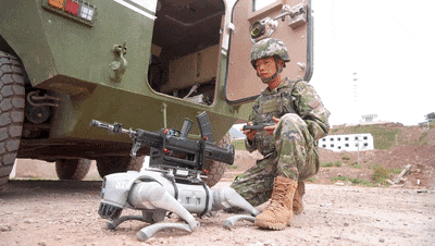 新型智能机器狗携带武器首次公开亮相，科技与军事结合引发热议