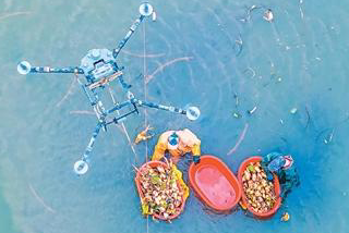 低空经济，飞得稳也要用得活