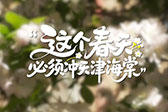 这个春天必须冲天津海棠