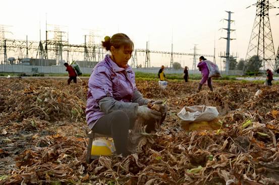 眉山市彭山区：“泽”链发力，“泻”质飞跃   探索全链条升级新路径