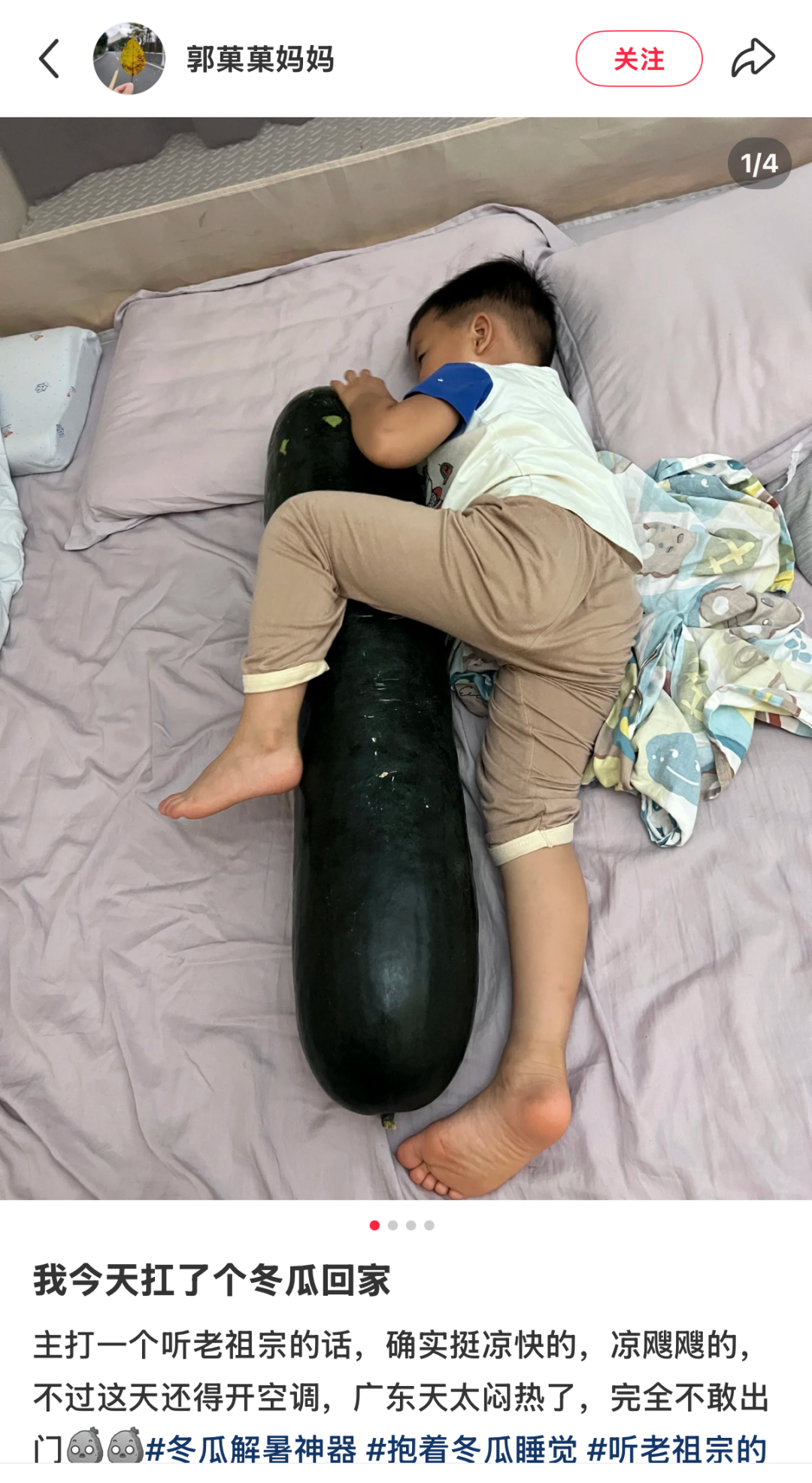 一夜之间，“抱着冬瓜睡觉”突然走红！男子在深圳买28斤冬瓜带回香港插图1