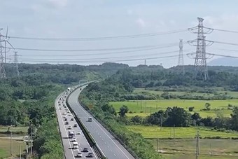 新能源汽车受青睐！这个假期道路上充满“绿”色