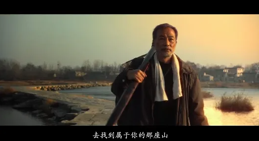 “静待秋收，我来掰棒子”！70岁任达华在山东老家种玉米，上个月刚收了小麦插图18