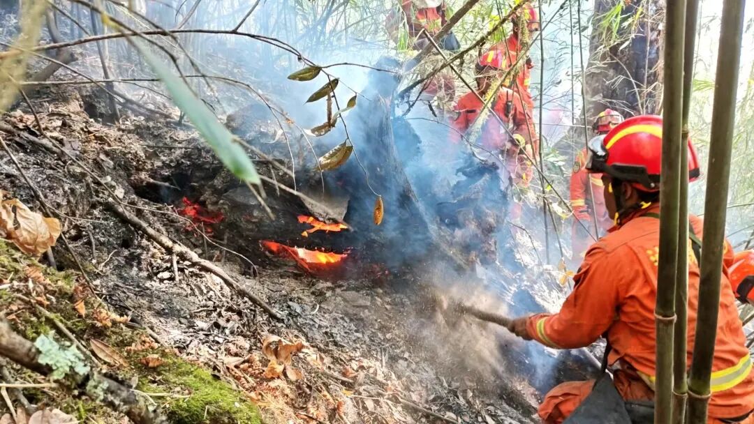云南怒江贡山森林火灾明火已灭