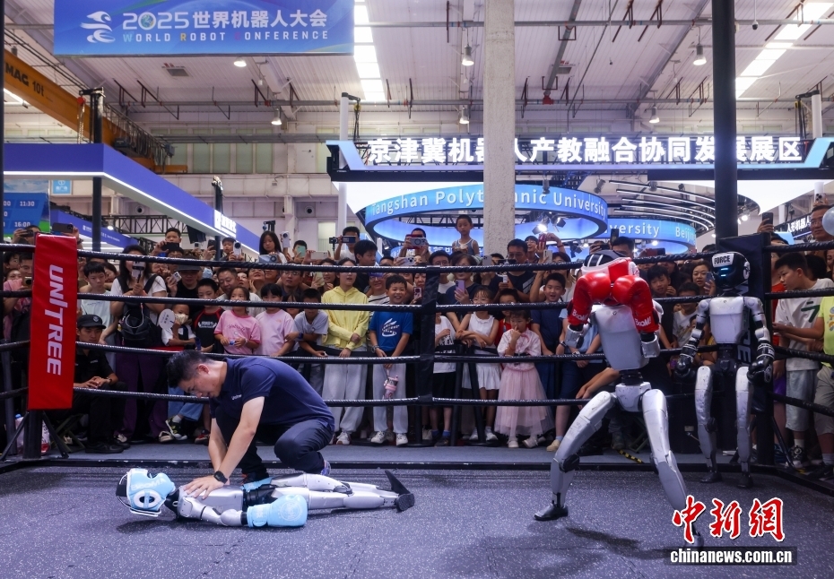 中新社记者 贾天勇 摄 8月11日，2025世界机器人大会继续在北京亦庄举行，展出的各类机器人刮起运动旋风。图为机器人综合格斗赛场上，被击倒的机器人接受“心肺复苏”。