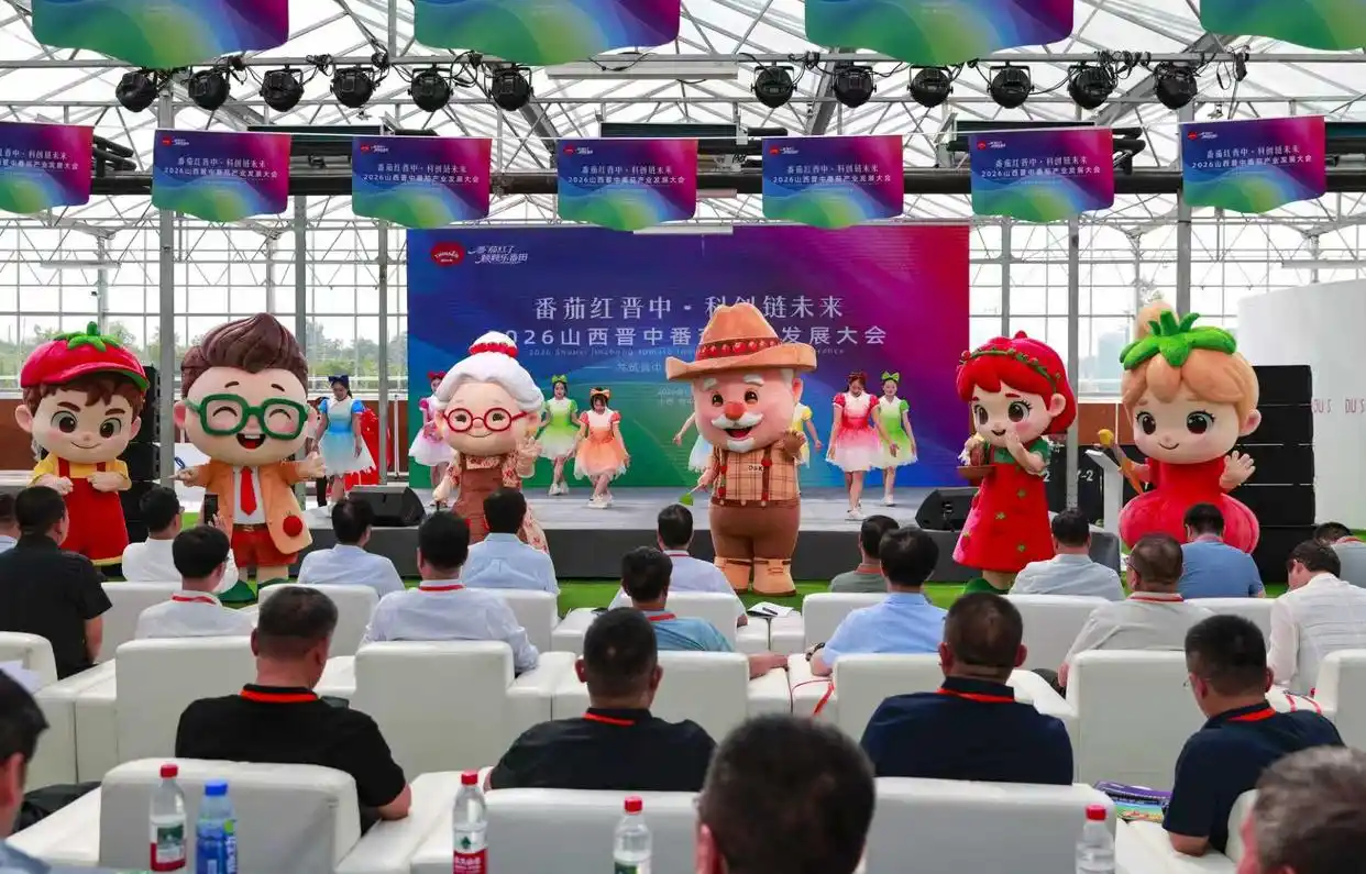 科创赋能全链协同 晋中番茄产业迎来高质量发展新契机