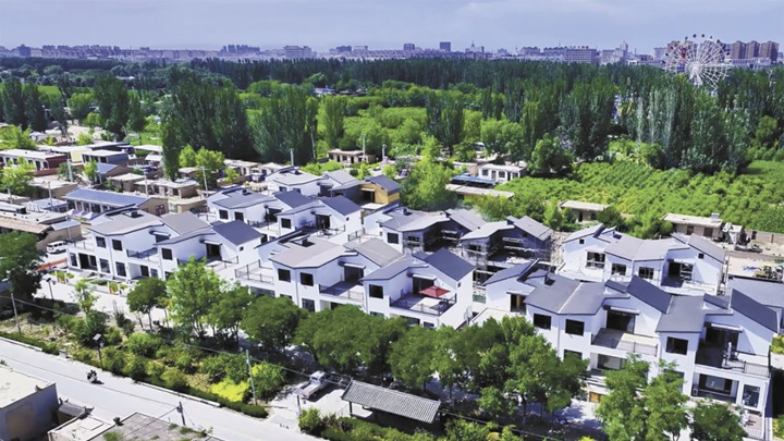 科技赋能产业兴，乡村振兴绘新景
