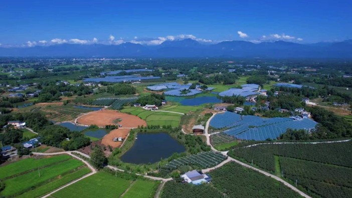 绵阳安州区政协委员持续助力 蟠龙猕猴桃走出差异化发展新路