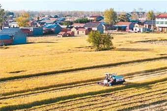 前三季度农业农村经济运行总体平稳