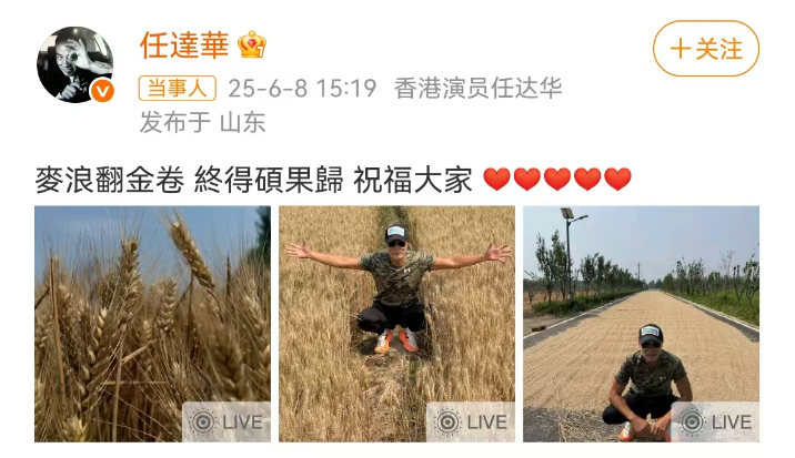 “静待秋收，我来掰棒子”！70岁任达华在山东老家种玉米，上个月刚收了小麦插图15