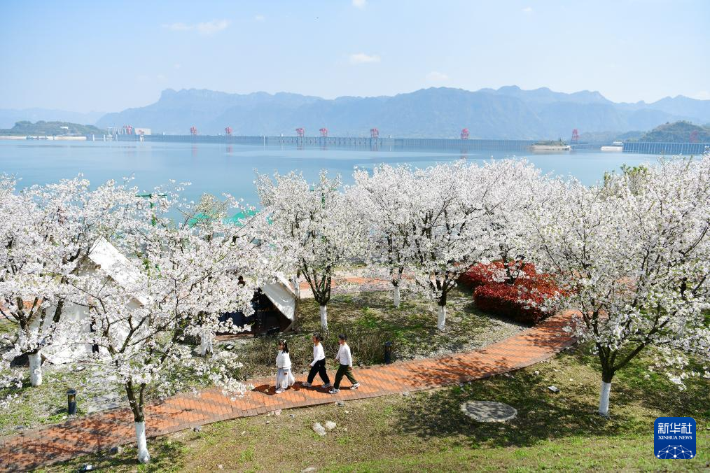 春满大地