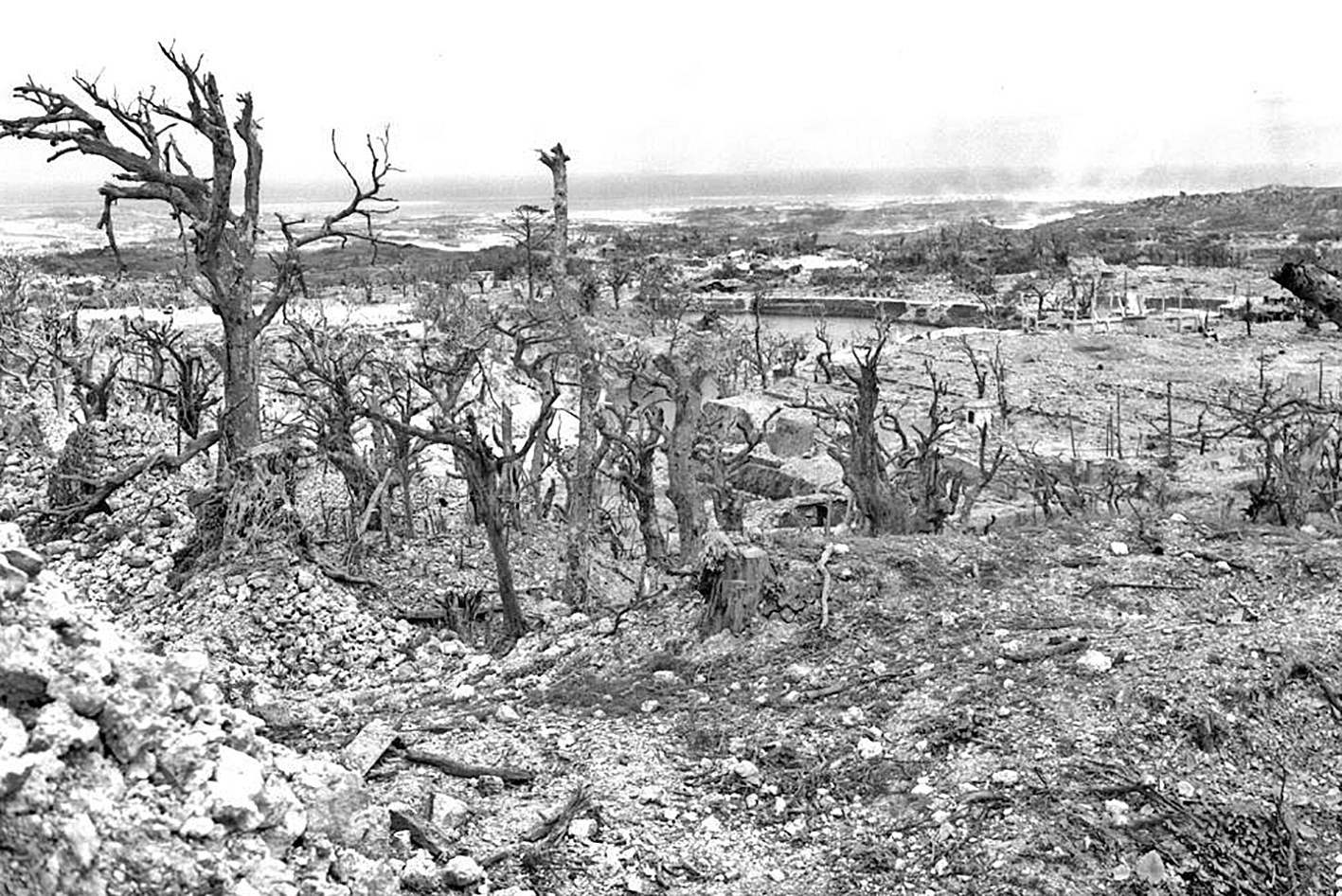 強征作“肉彈防御”，被填入“戰爭熔爐”，二戰琉球之殤：民眾淪為日軍“消耗品”日軍