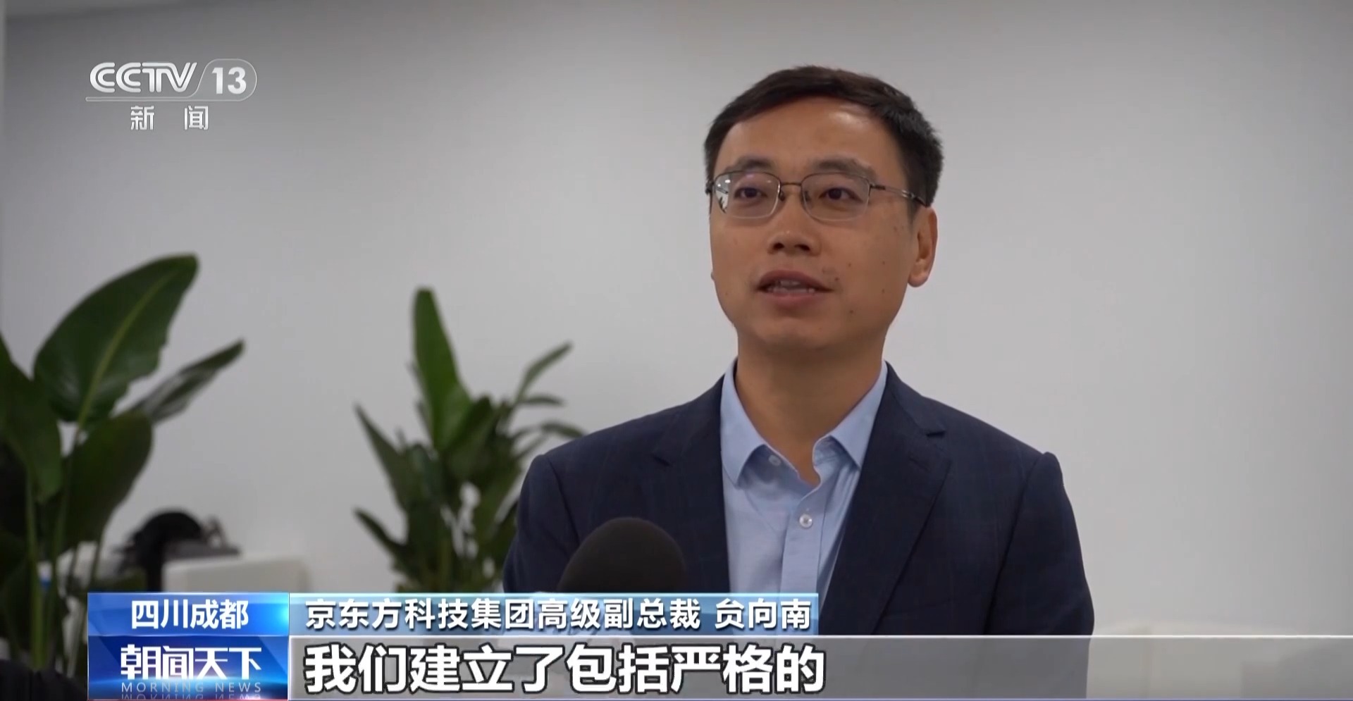 中国首条第8.6代AMOLED生产线正式量产