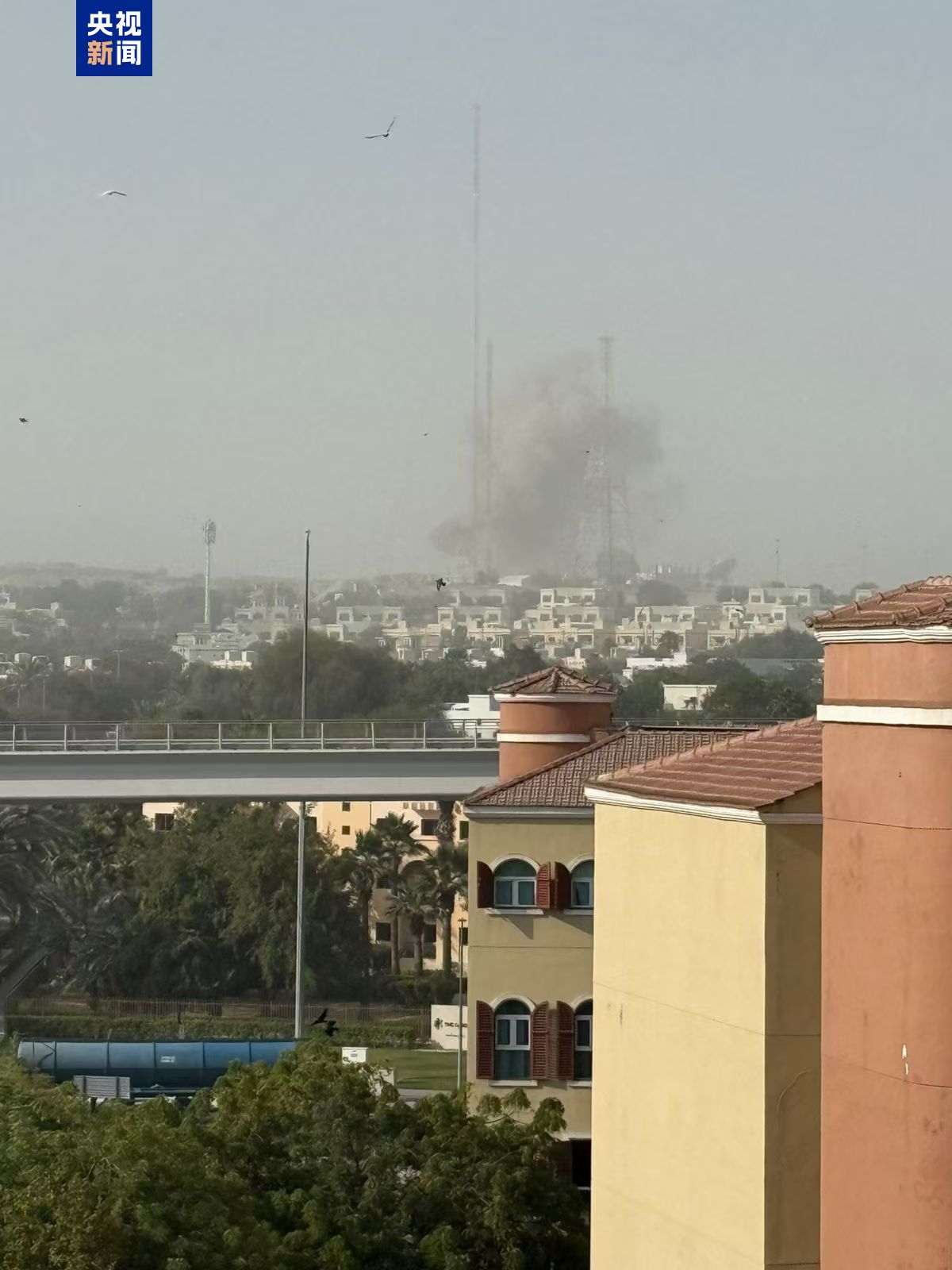 大只500娱乐-大只500app下载