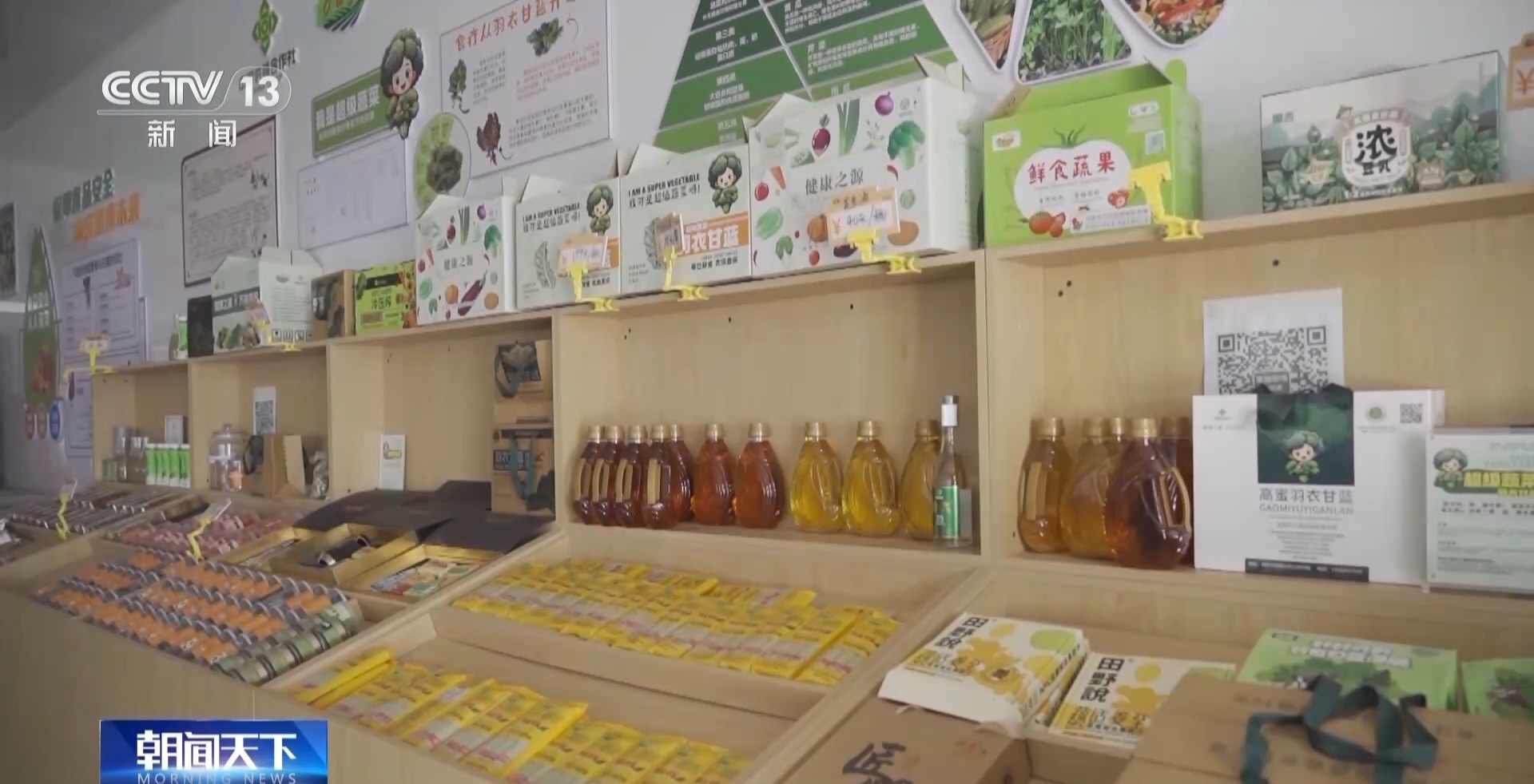 暑期套購訂單增長超1倍蘇寧易購“玩”出消費新活力外研版小學英語3年級上冊