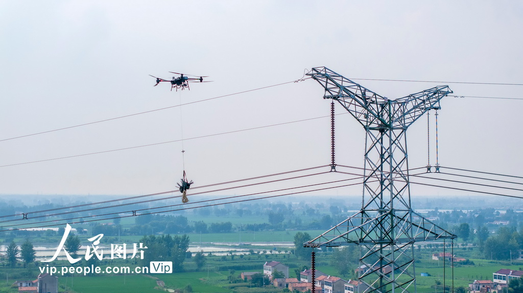 江苏淮安：无人机助力电网不停电检修【3】 8月6日，在江苏省淮安市500千伏旗潘/杰潘输电线路施工现场，电力工人运用中型多旋翼无人机进行不停电安装防鸟装置作业。该技术通过无人机精准投放防鸟装置，显著提升了作业效率和安全性，避免了传统停电作业对居民和企业用电的影响，为夏季用电高峰期间电网安全稳定运行提供了有力保障。史俊摄（人民图片网）