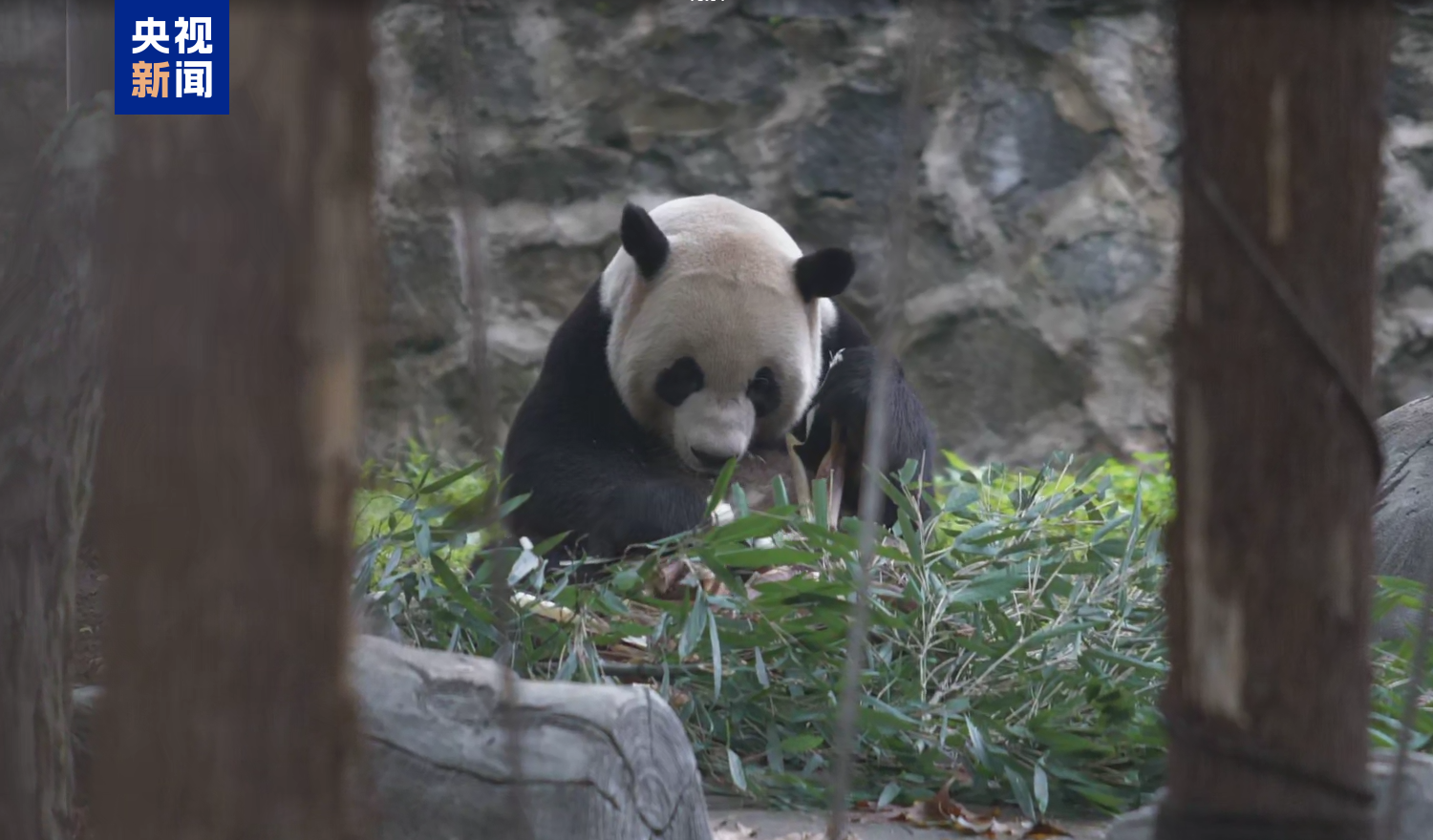 耀世注册官方下载-学生作文网