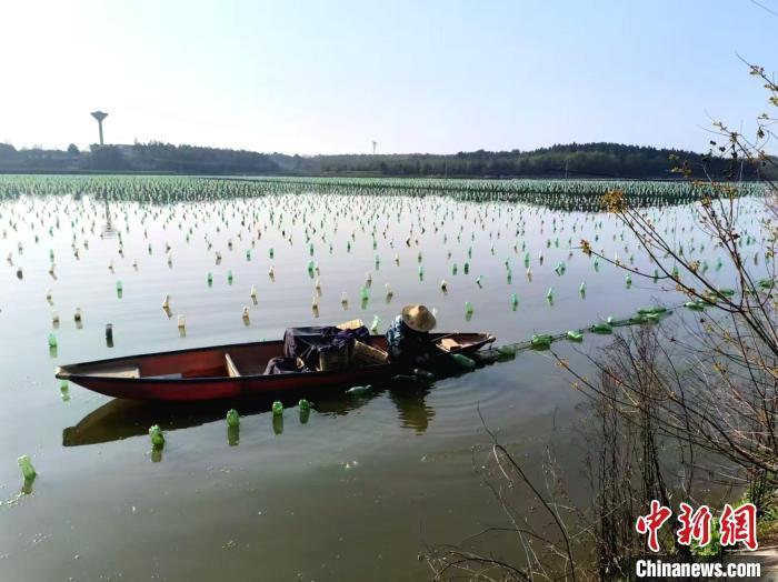 【51今日爆料,每日大賽網(wǎng)紅】北京市經(jīng)濟(jì)和信息化局：1