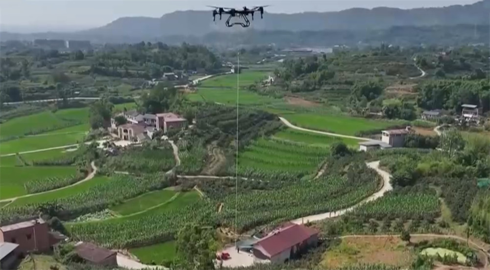 良機良法“智”繪夏播圖科技為秋糧“豐”景打好基礎插秧