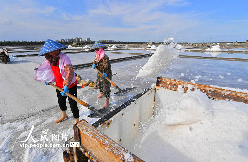 福建泉州：盐场作业插图10