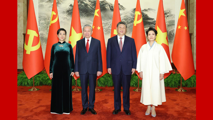 习近平同越共中央总书记、国家主席苏林举行会谈