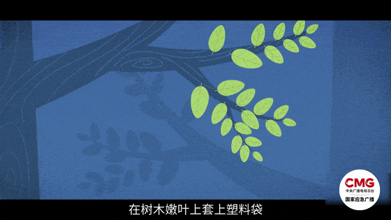 男童爬山失联50多天遗体被找到，暑期出行安全必知！插图4