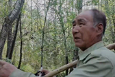 老人43年造林3000亩