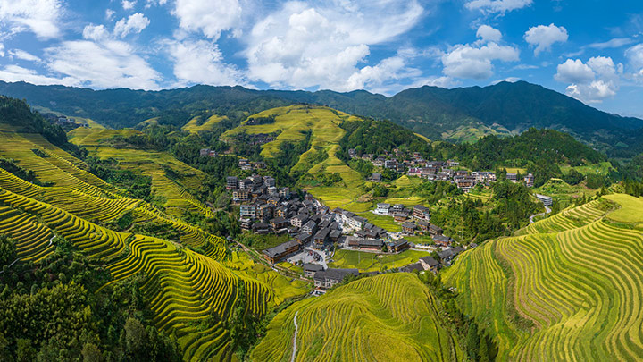 龙脊梯田“丰”景如画