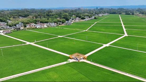 眉山市青神县：良田筑基 科技赋能 绘就“天府粮仓”新图景