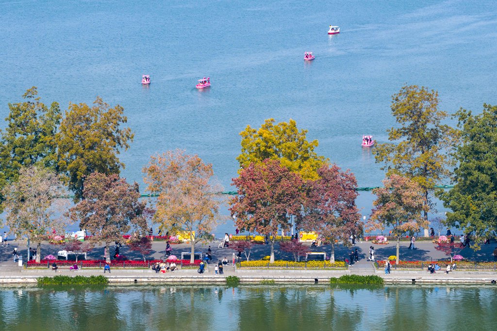 南京玄武湖公园色彩斑斓