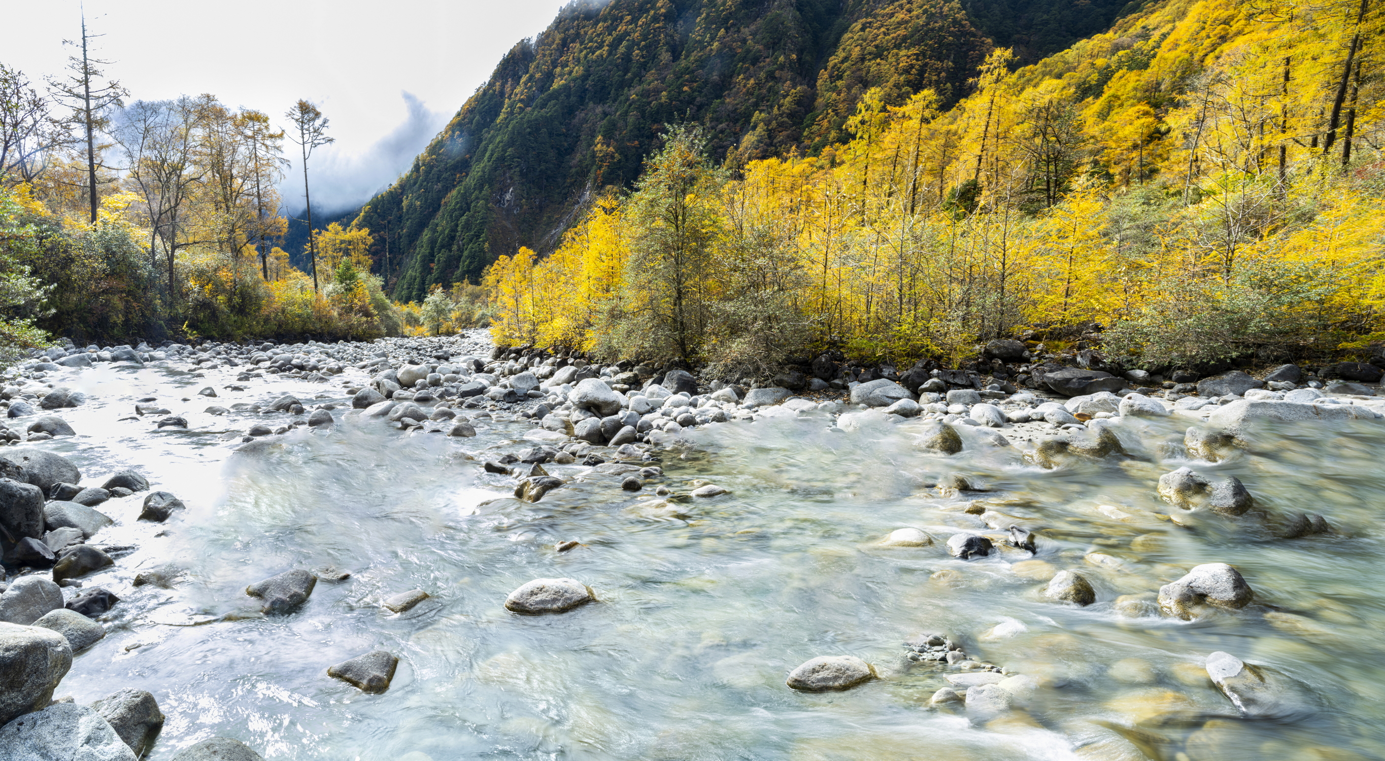 四川石棉田湾河：小雪时节 彩林不谢