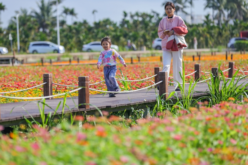 海南博鳌：绚烂花海引客来