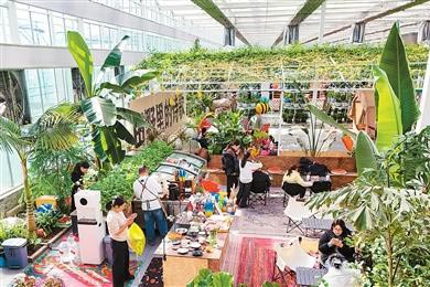 “种”出咖啡新业态