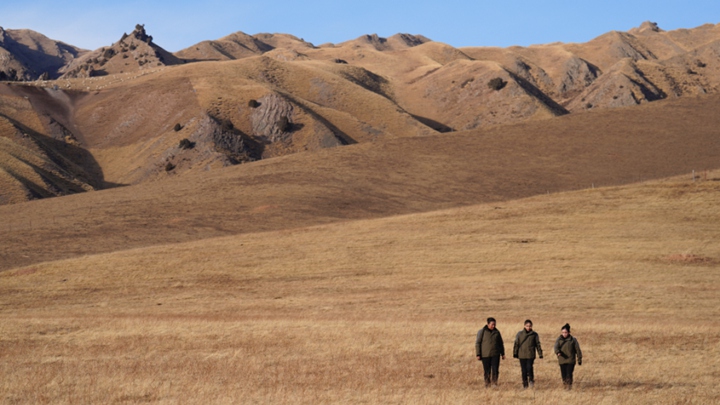 巾帼力量守护祁连山