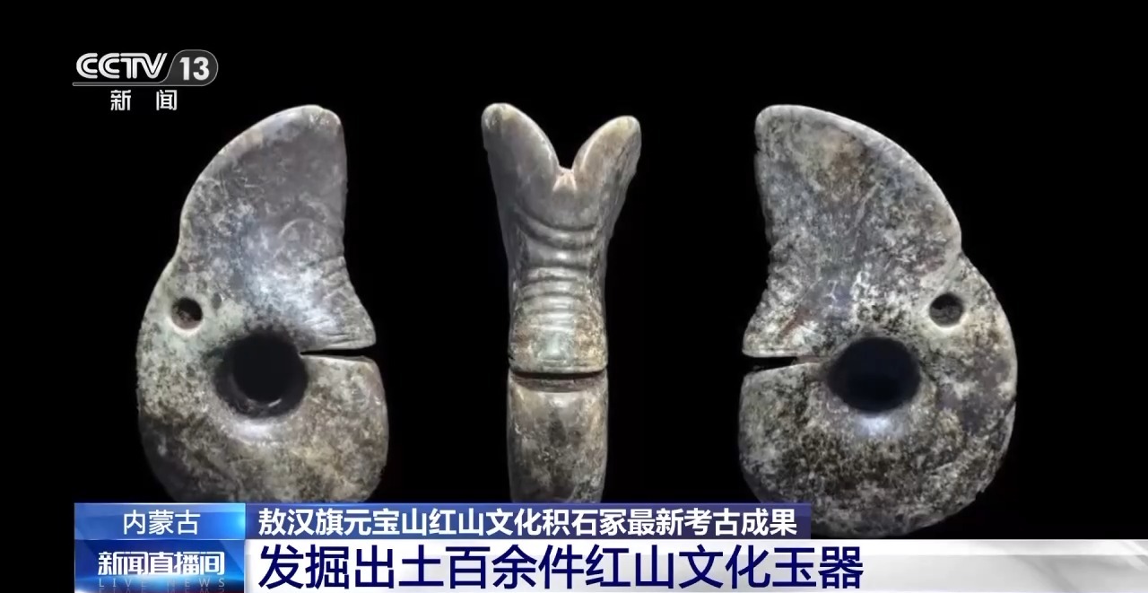 送料無料の商品 文化探源线索+1 红山文化积石冢发掘出土百余件玉器 国語学